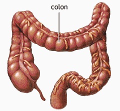 دارورسانی به کولون