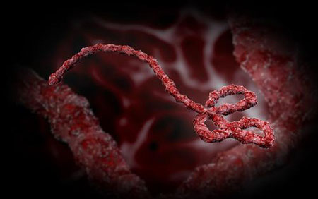 درمان معجزه‌آسای ابولا