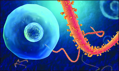  راهنمایی مقدماتی CDC جهت کنترل ابولا