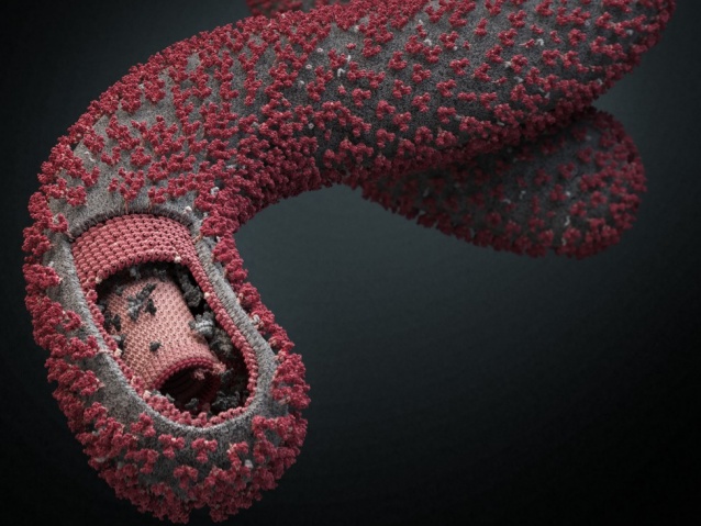 سنجش توانایی پزشکان در تشخیص ابولا 