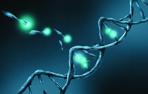 آسیب DNA، سبب بروز سرطان