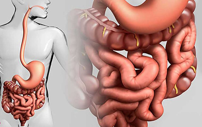 امکان پیش‌بینی خطر ابتلا به بیماری کرون و پیش‌آگهی بیماری توسط ژن‌های مختلف