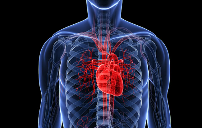در انگلستان ۷۰‌درصد از برنامه‌های مبارزه با حمله قلبی، فاقد حداقل استانداردهای لازم می‌باشند 