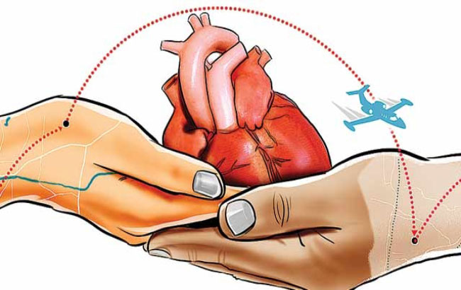 تمدید زنده‌نگاه‌ داشتن قلب خارج از بدن 