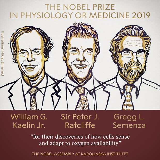 بردن جایزه نوبل وقتی همه خواب بودند!
