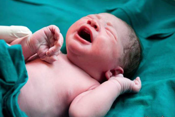 بررسی ابعاد مختلف اهدای تخمک و جنین در برنامه پایان ناباروری