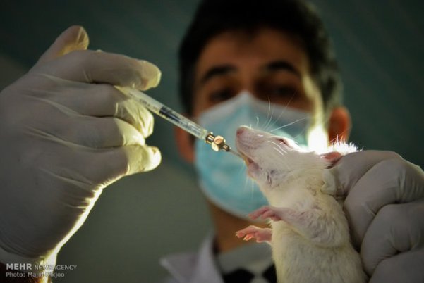 بهترین راه از بین بردن اجساد حیوانات آزمایشگاهی