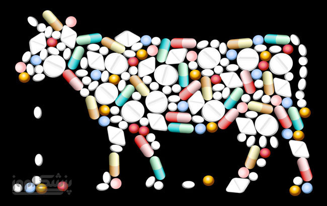 عوارض مصرف آنتی بیوتیک در حیوانات و انسان