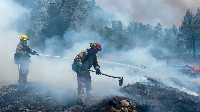 مهار ۷۰ درصد آتش‌سوزی‌های جنگلی در کالیفرنیا