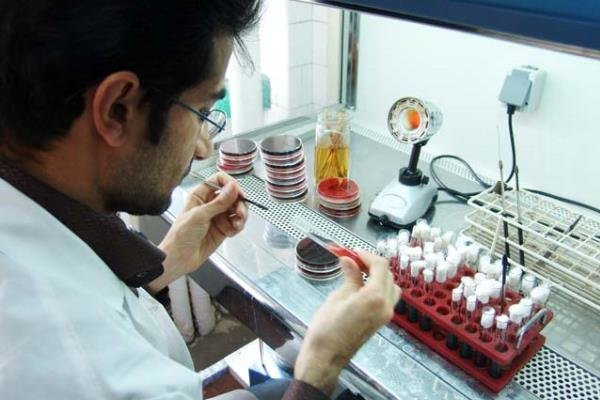 ارائه خدمات آزمایشگاهی به تمام پژوهشگران کشور
