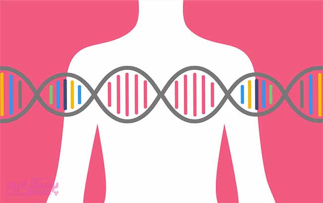 آزمایش ژنتیک در تشخیص سرطان سینه