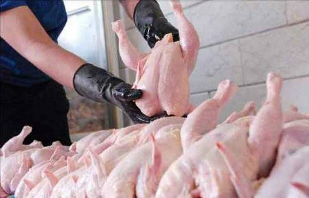 اجرای طرح ملی ارتقای گوشت مرغ از مهرماه در کشور