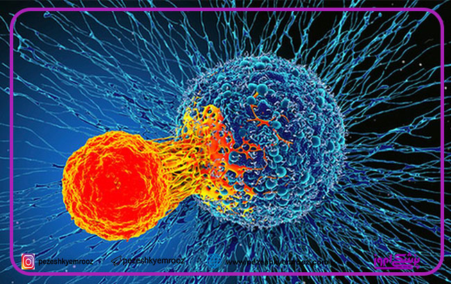 تلفیق دارویی هدفمند ، موثر در درمان سرطان