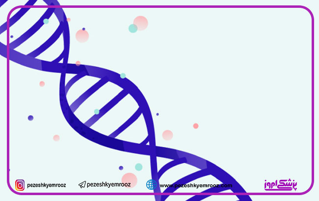 تشخیص ژنتیکی پیش از لانه گزینی جنین (PGT; PGD; PGS)