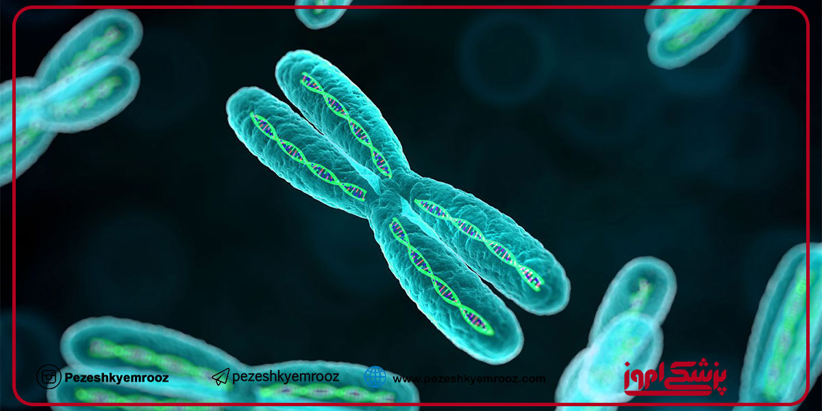 سندرم کلاین‌فلتر (Klinefelter syndrome:KS) درواقع نوعی اختلال کروموزومی است که در آن یک کروموزوم X اضافی در ژنوم فرد مذکر وجود دارد. این سندرم متداول‌ترین عامل ژنتیکی ناباروری در مردان است. عموماً بیش از دوسوم افراد KS دارای کاریوتیپ ۴۷,XXY و سایرین دارای کاریوتیپ موزاییک یا درجات بالاتری از آنیوپلوئیدی هستند. 